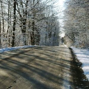 Meet your Posher, J-lucille